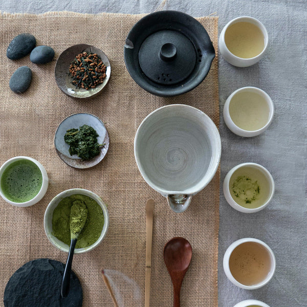 How to Compost with leftover Tea Leaves sorate