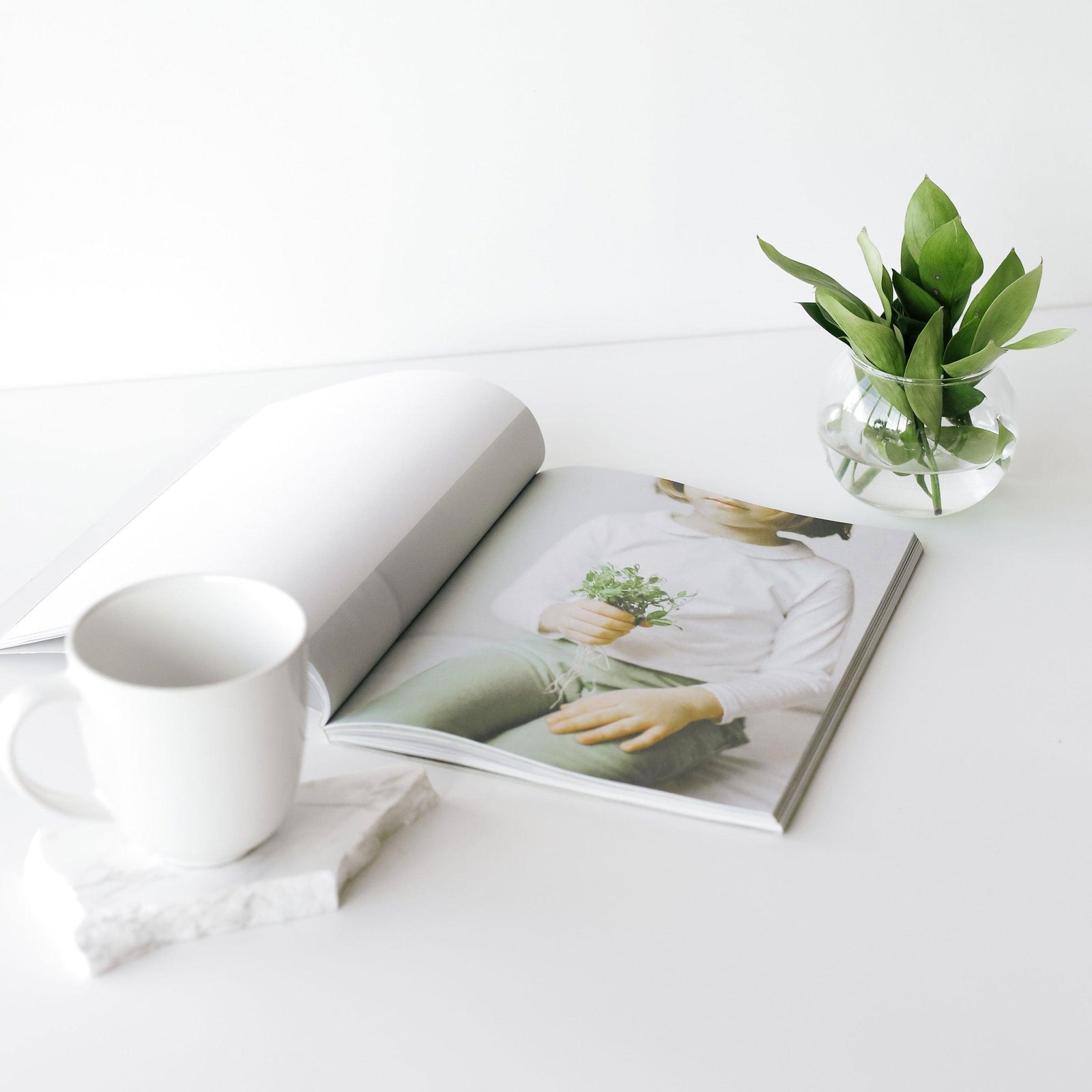 5 Facts You May Not Know About Matcha - sorate