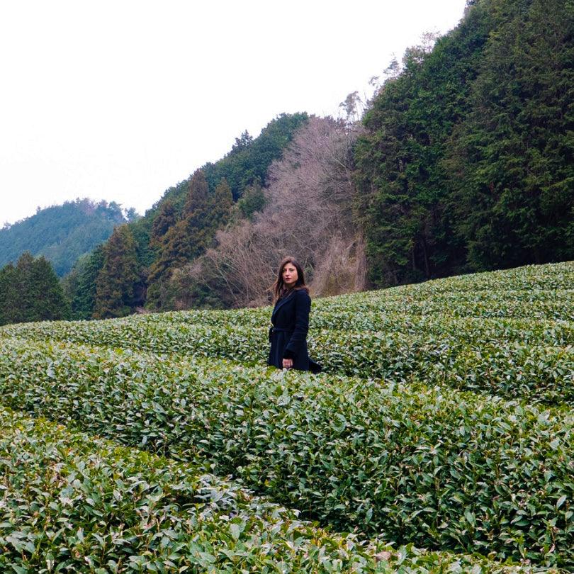 6 FACTS ABOUT KYOTO - sorate