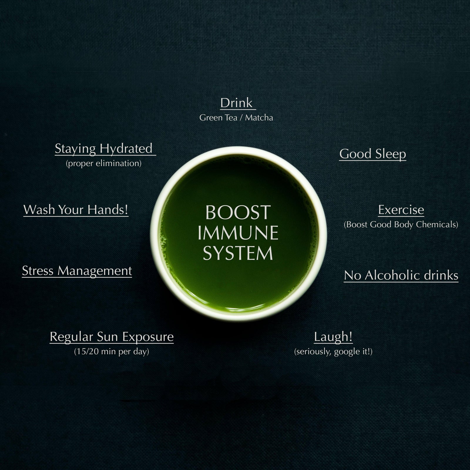 Boost Your Immune System - sorate