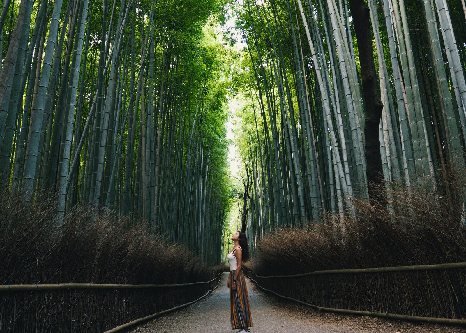 Kyoto Travel Guide - sorate