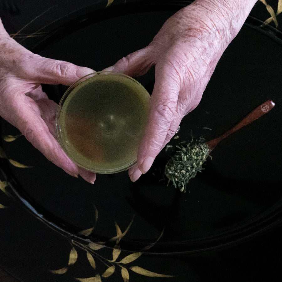 LONGEVITY | Secrets from a Centenary - sorate