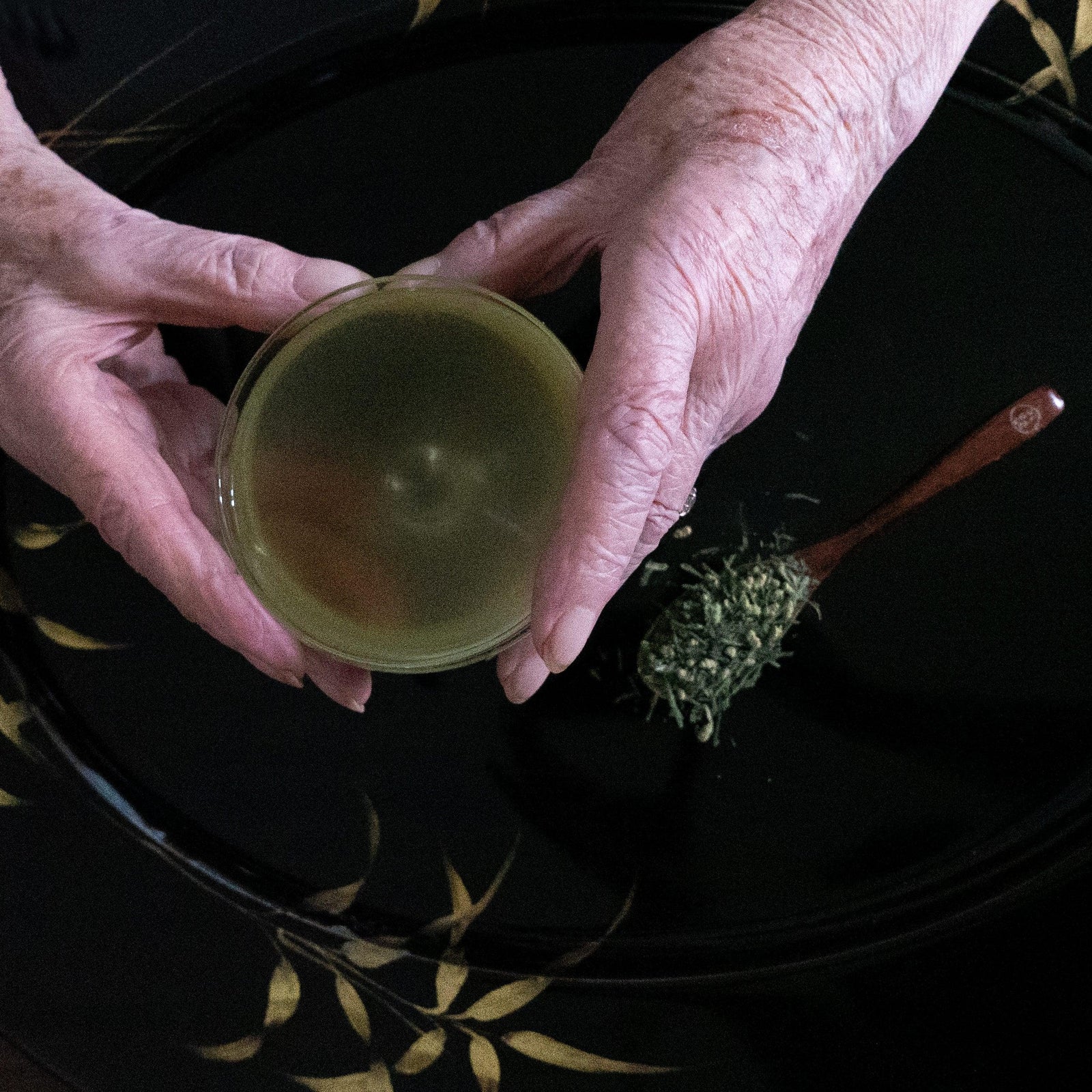 LONGEVITY | Secrets from a Centenary - sorate