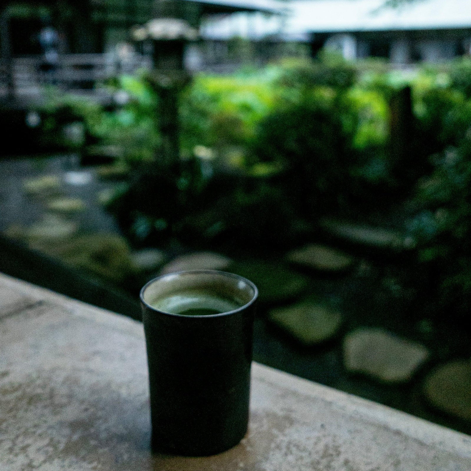 MANIFEST THE LIFE YOU WISH TO LIVE - sorate