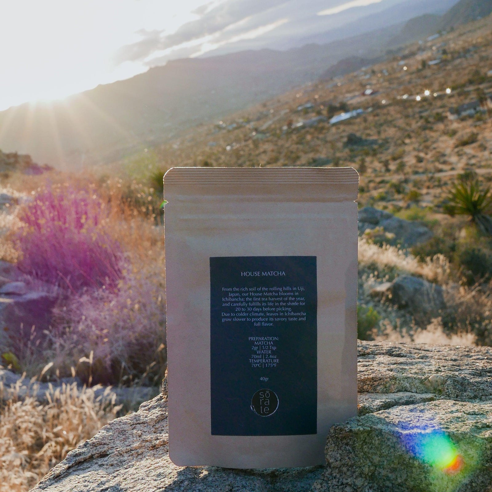 Medical Researches - sorate