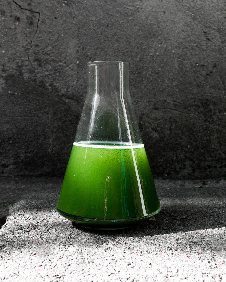 Prevent Influenza - sorate